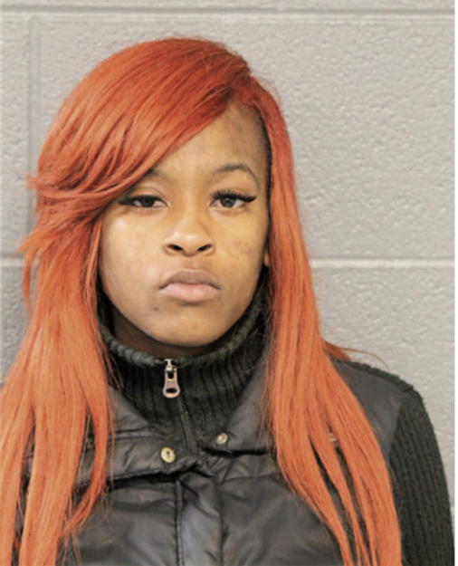 ERICA T FISHER, Cook County, Illinois