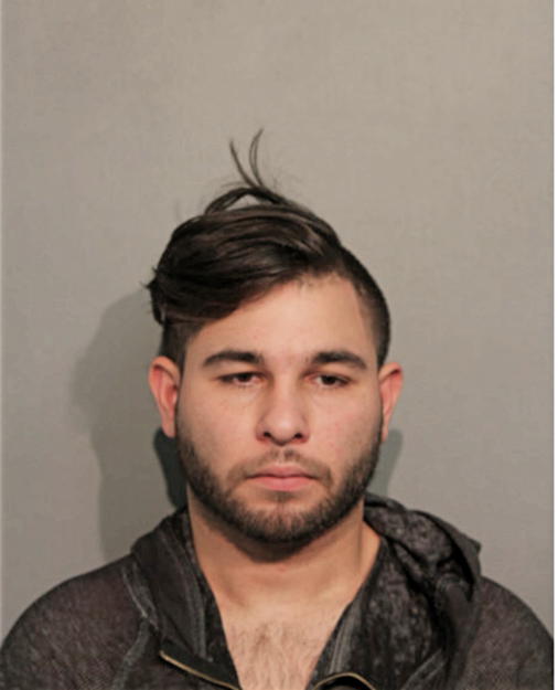 WILLIAM M GEWARGES, Cook County, Illinois
