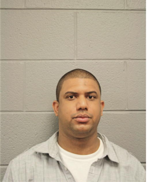 SERGIO L GUZMAN, Cook County, Illinois