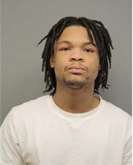 DAVID R HESTER, Cook County, Illinois