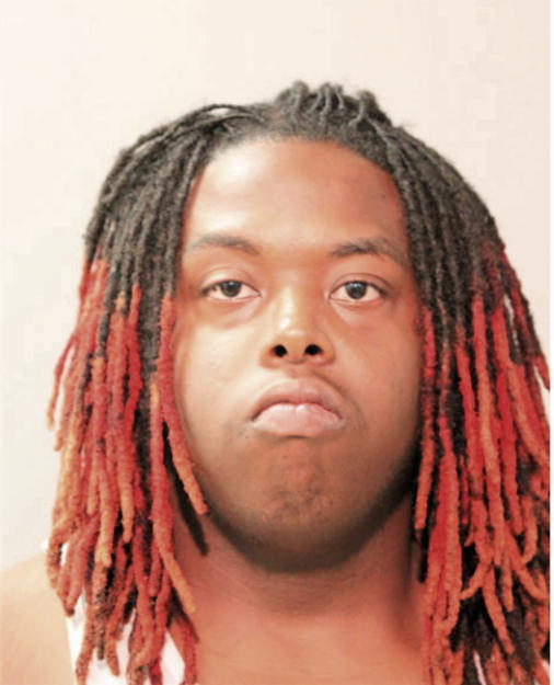 ROGER L HONORABLE, Cook County, Illinois