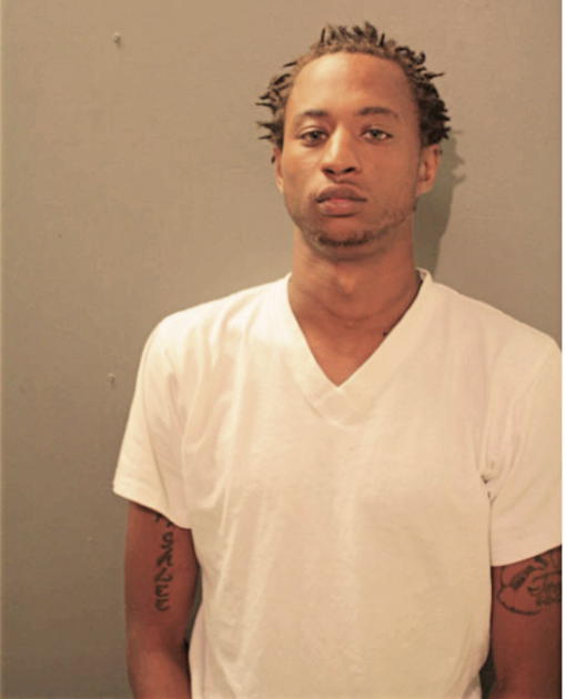 TERRELL J HORTON, Cook County, Illinois
