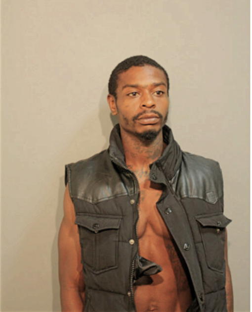 REGINALD M HUDSON, Cook County, Illinois