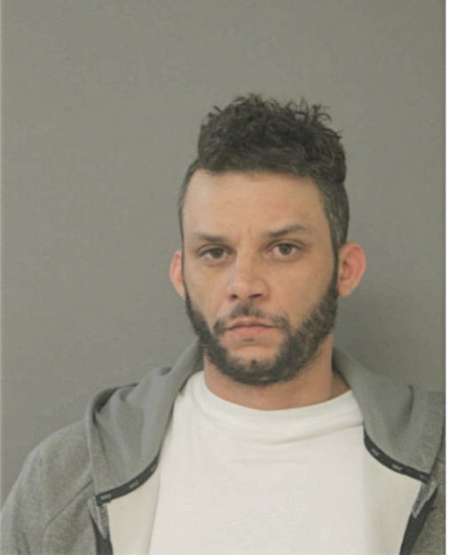 CHARLES S JOHNSON, Cook County, Illinois