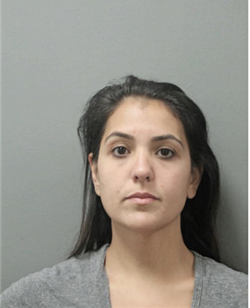 ASHLEY JAHAN KASHANI, Cook County, Illinois