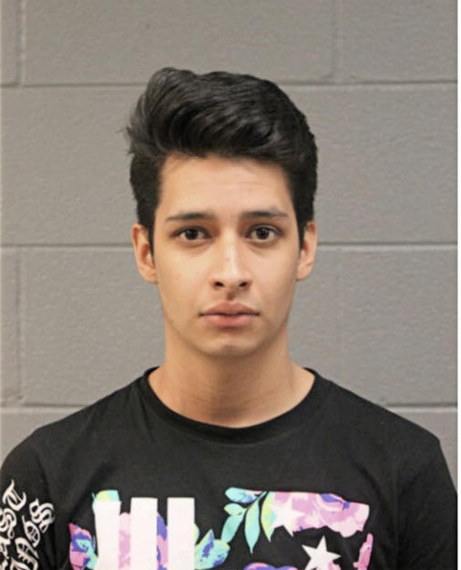 JUAN F MILLAN, Cook County, Illinois