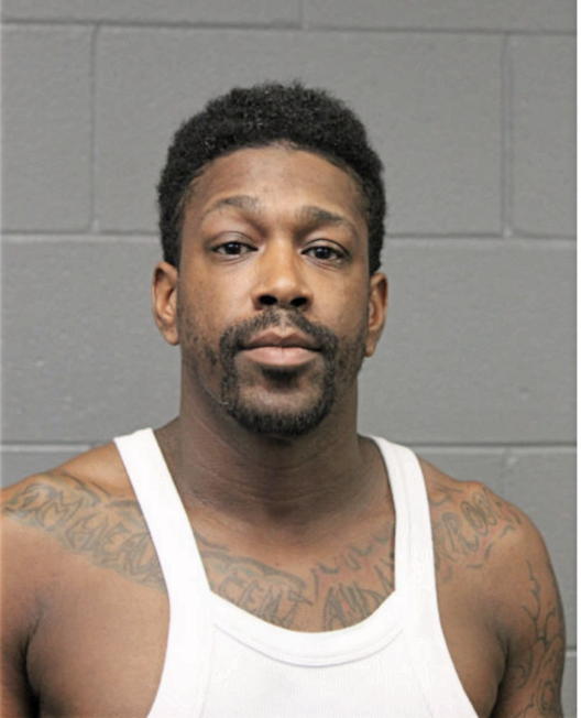 SEAN T MITCHELL, Cook County, Illinois