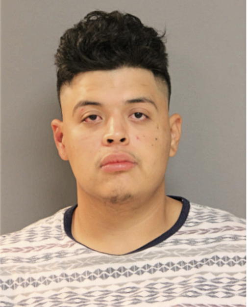 JESUS I PELAEZ, Cook County, Illinois