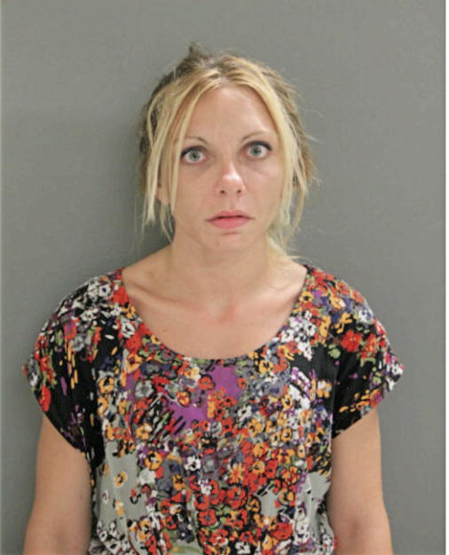 MEGAN E RAJ, Cook County, Illinois