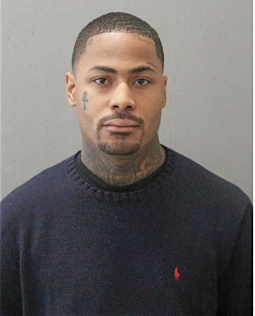 DOMINIQUE B RIDELY, Cook County, Illinois