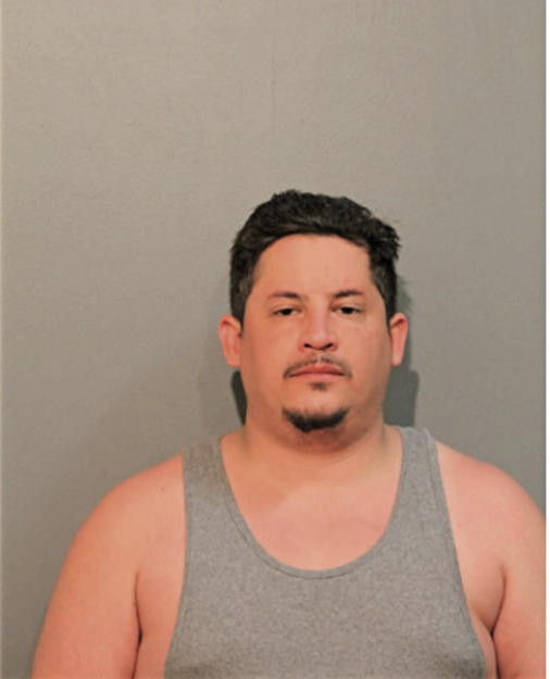 JUAN A SENISAIS, Cook County, Illinois