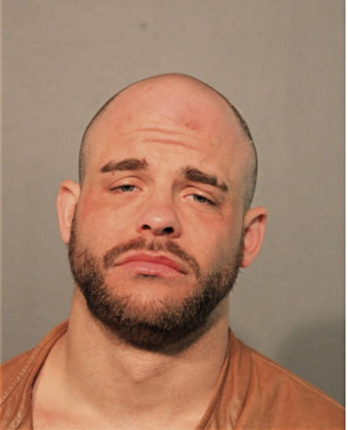 JACOB R STEGEMAN, Cook County, Illinois