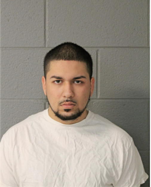 LEONARDO UNZUETA, Cook County, Illinois