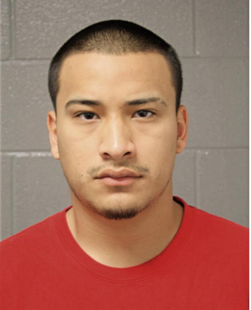 FABIAN J VILLAFUERTE, Cook County, Illinois