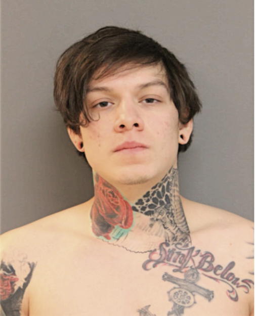 MANUEL D ALANIS, Cook County, Illinois