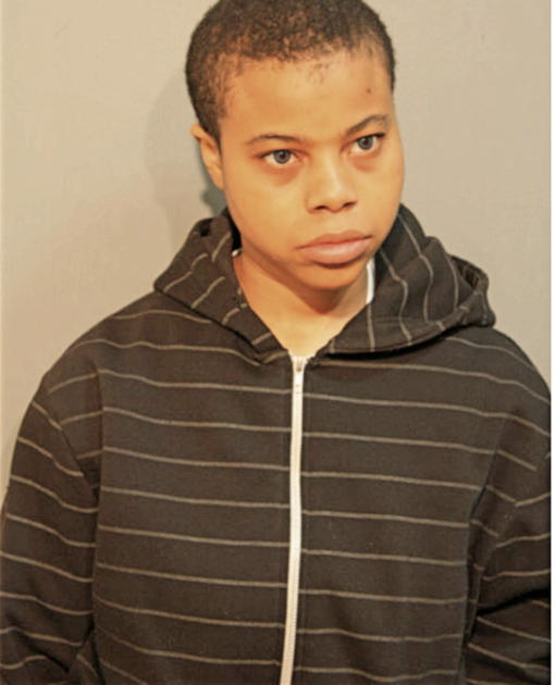 EMILY L ALLEN, Cook County, Illinois