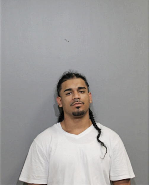 JOSEPH M ALVARADO, Cook County, Illinois