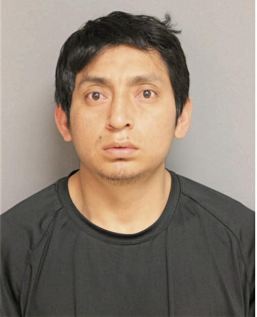 CHRISTIAN S AREVALO-TENESACA, Cook County, Illinois
