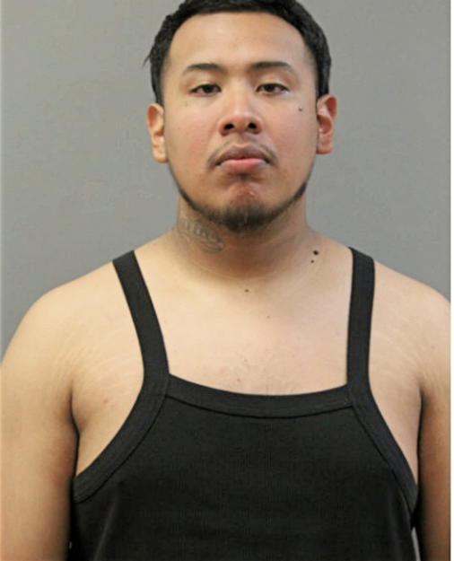 LUIS A CARRETO, Cook County, Illinois