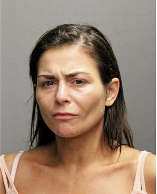 ASHLEY M DAGOSTINO, Cook County, Illinois