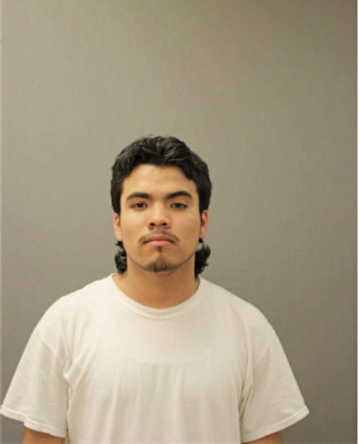CARLOS A DELGADO, Cook County, Illinois