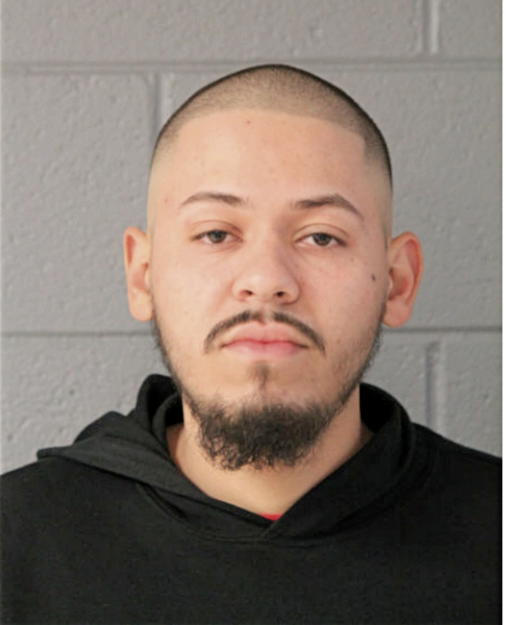 RAMON ALEJANDRO DELGADO, Cook County, Illinois
