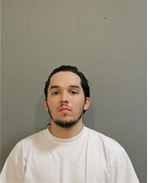 JOHN J FLORES, Cook County, Illinois