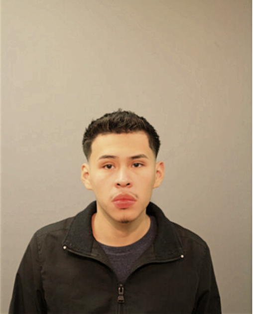 MISAEL FLORES, Cook County, Illinois