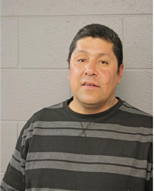 JOHN F GARCIA, Cook County, Illinois