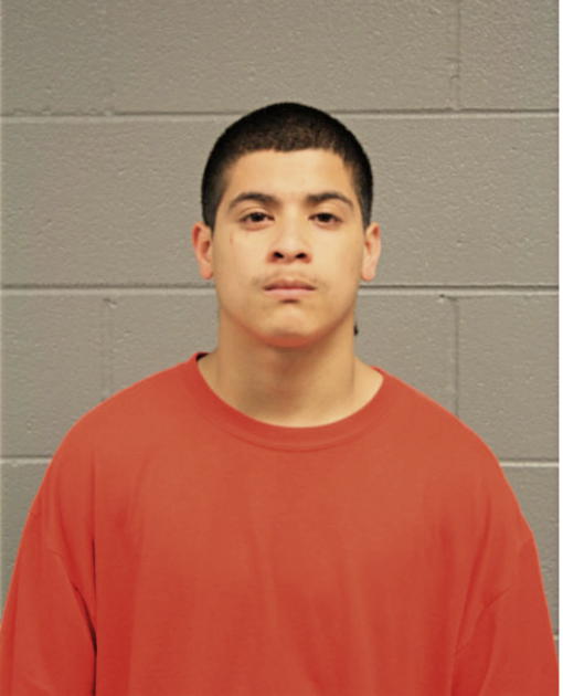 CHRISTIAN GUERRERO, Cook County, Illinois