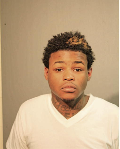JESSE LEE HARRISON, Cook County, Illinois
