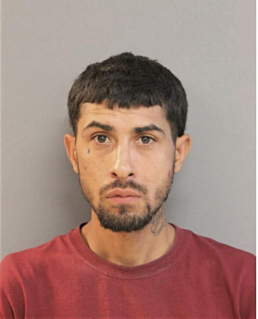 NOEL HERNANDEZ-MEDINA, Cook County, Illinois