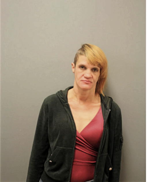 JULIE M KING, Cook County, Illinois