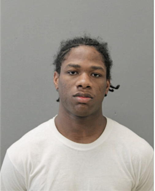 KARL L BURNETT, Cook County, Illinois