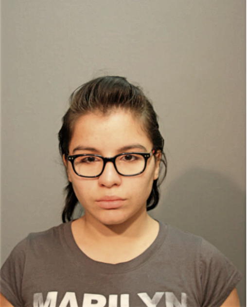 JESMARIE E ORELLANA, Cook County, Illinois