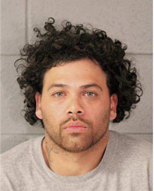 ANTHONY ORTIZ, Cook County, Illinois