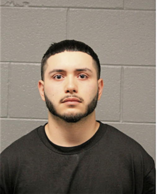 ALEXANDER M PEDROZA, Cook County, Illinois