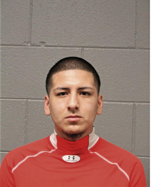 JOHN D PERALTA, Cook County, Illinois