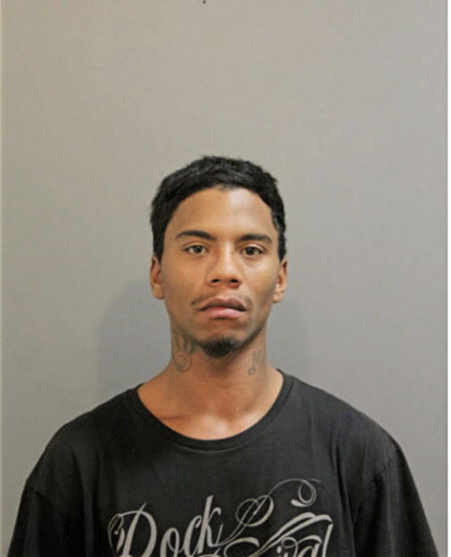 ERIC REED, Cook County, Illinois