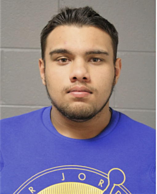 SONNY L STEVE, Cook County, Illinois