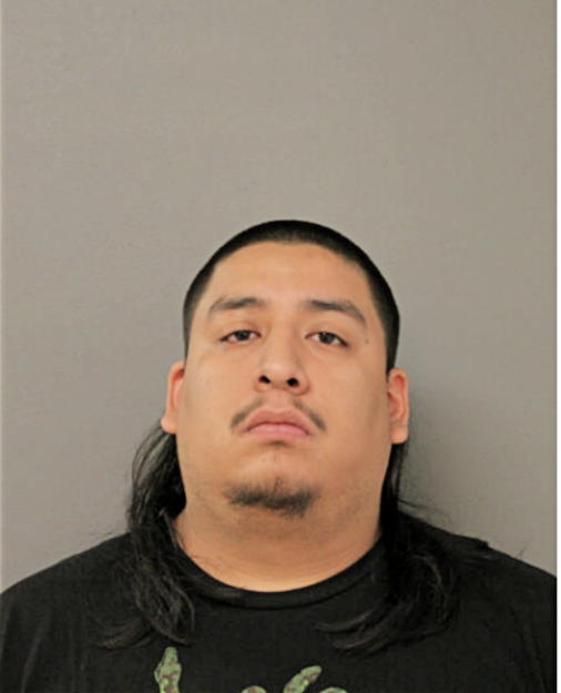 PABLO ULLOA, Cook County, Illinois