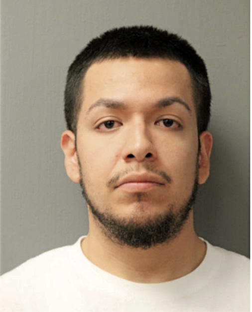 ARTURO VERGARA, Cook County, Illinois