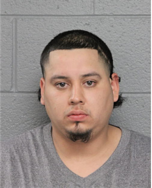 GERARDO A VILLARREAL, Cook County, Illinois