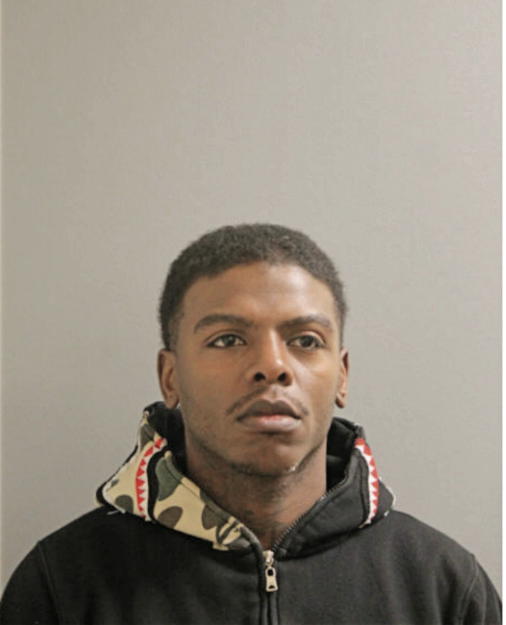 JAMIE P WALLS, Cook County, Illinois