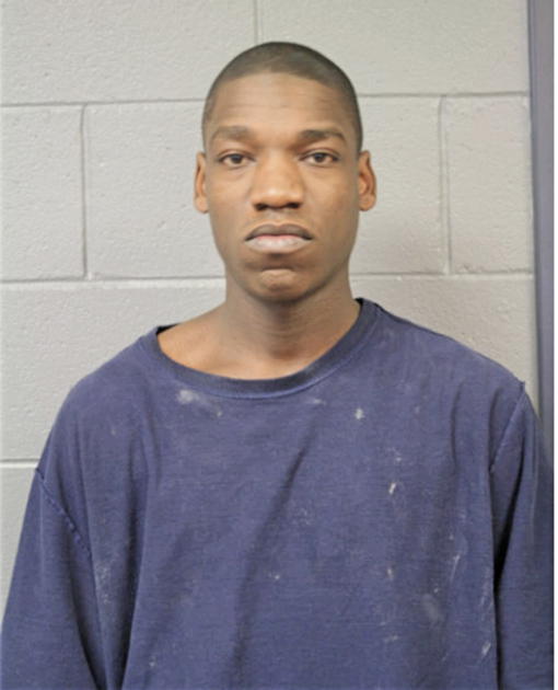 JAMES P ABRAHAM, Cook County, Illinois