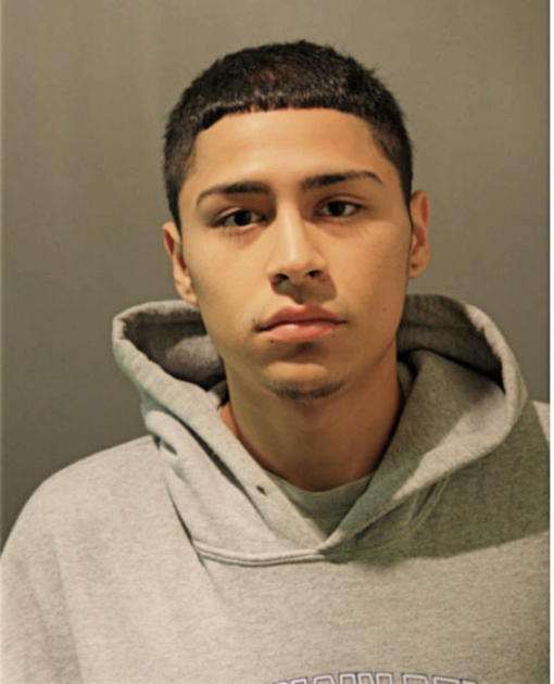 LUIS ALFARO, Cook County, Illinois