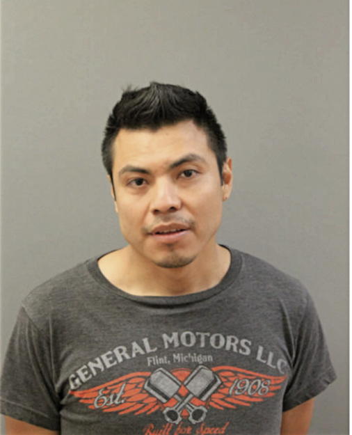 LEONEL ALVAREZ-SOSA, Cook County, Illinois