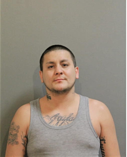 ERIC A ANAYA, Cook County, Illinois