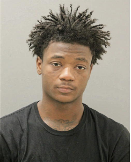 LARRY A BALDWIN, Cook County, Illinois
