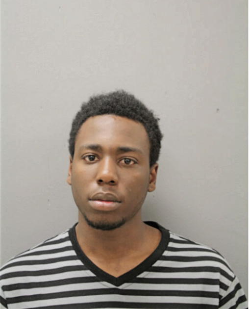LEON J BROWN, Cook County, Illinois